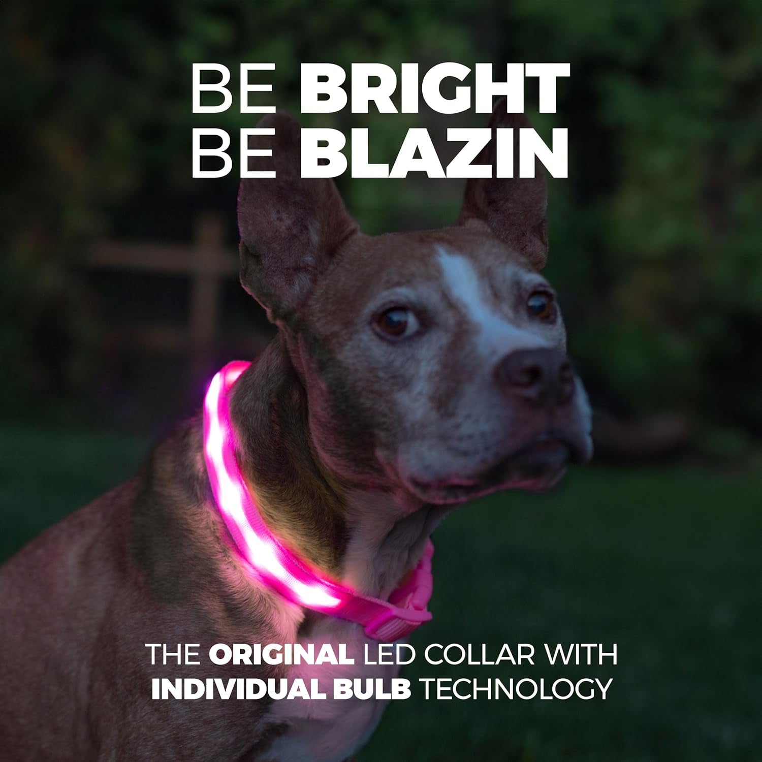 Light up Dog Collar - the Original LED Dog Collar - USB Rechargeable - Waterproof - 1,000 Feet of Visibility - Dog Collar Light for Small, Medium, Large Dogs - US Brand